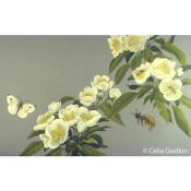 02. Ladybug Garden by Celia Godkin; Fitzhenry and Whiteside, 1995